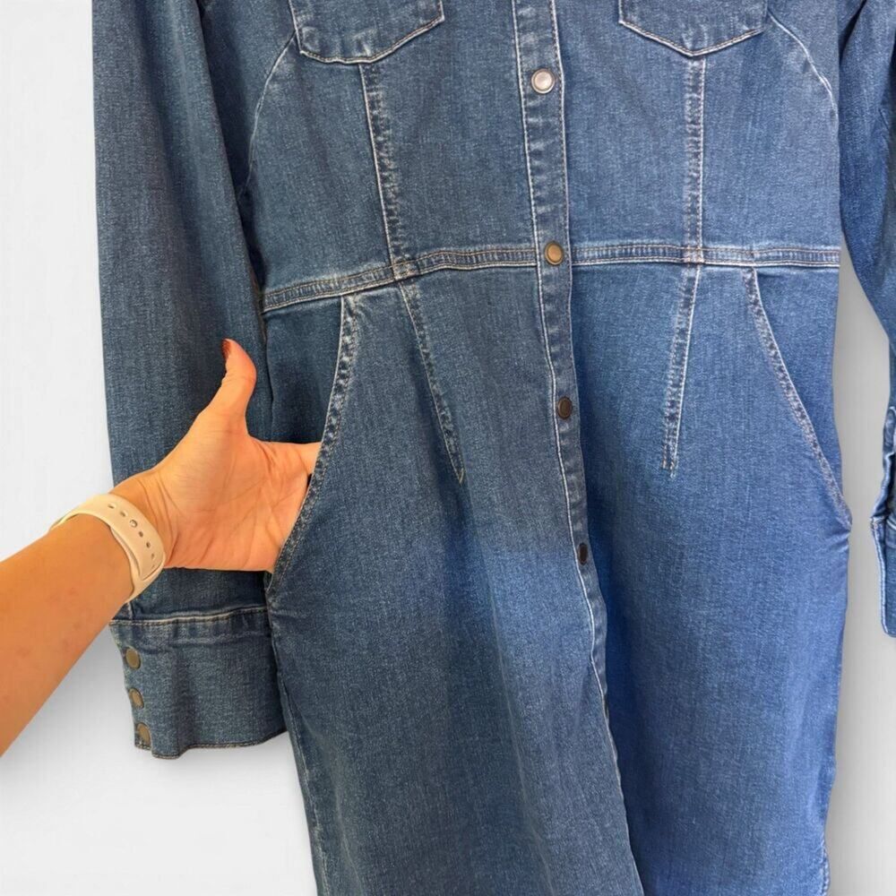 NWT Free People Dynomite Denim Dress Size Large Retro 1970's Western Boho - Picture 5 of 6